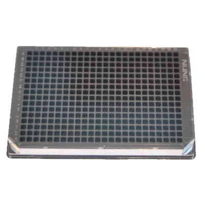 Product photo of Nunc 242764 Microplate